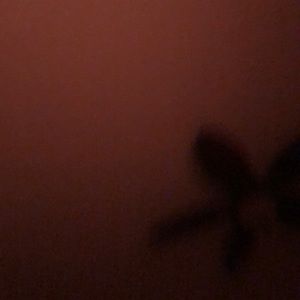 Meet your Posher, Luis